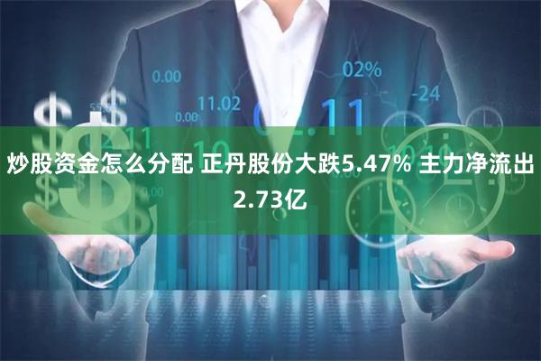 炒股资金怎么分配 正丹股份大跌5.47% 主力净流出2.73亿